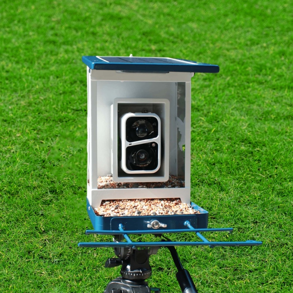 Smart Bird Feeder with Camera & App Control | Automatic Outdoor Feeding System