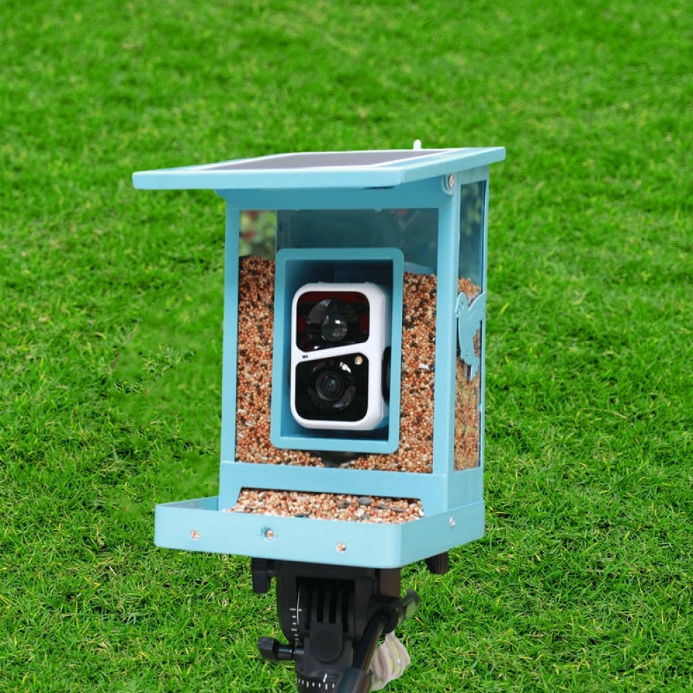 Smart Bird Feeder with HD Camera & Auto Feeding | WiFi Connected Feeder