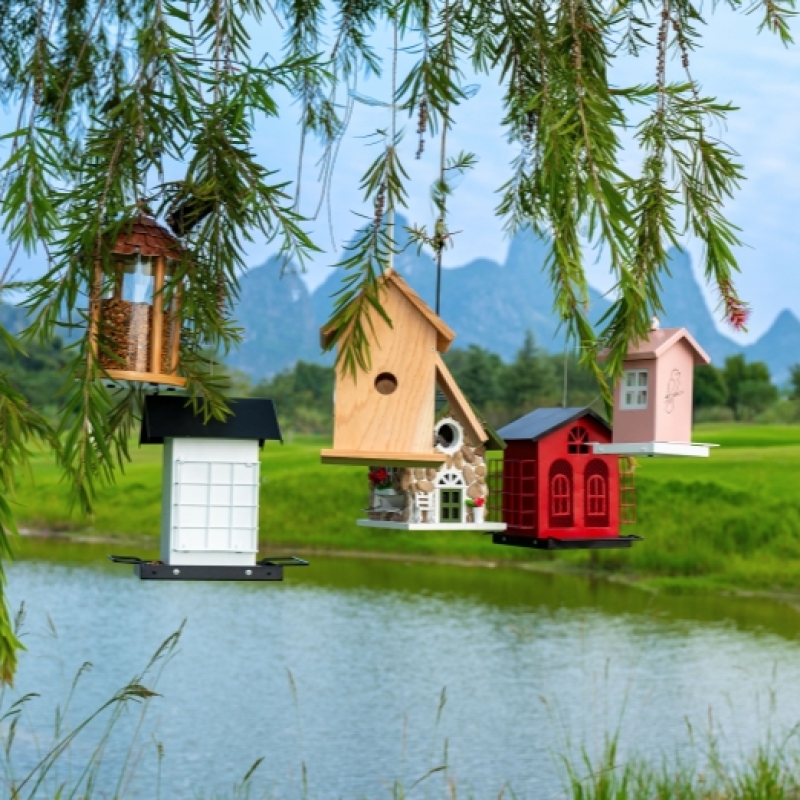 ❤️Creating a Comfortable Aviary for a Better Bird Life