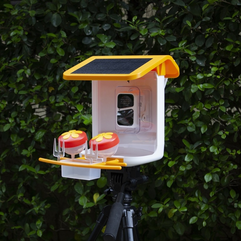 WiFi Smart Bird Feeder with Camera | Automatic Outdoor Bird Feeding Solution