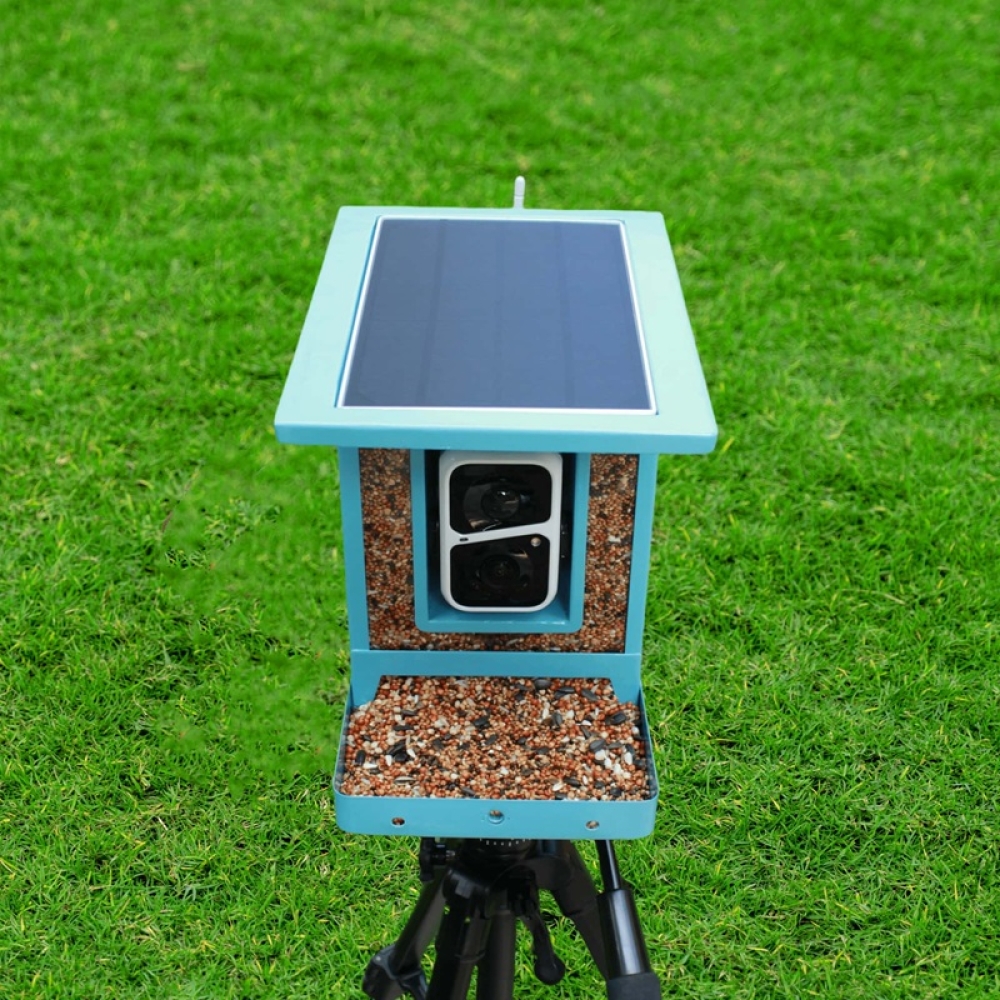 Smart Bird Feeder with HD Camera & Auto Feeding | WiFi Connected Feeder