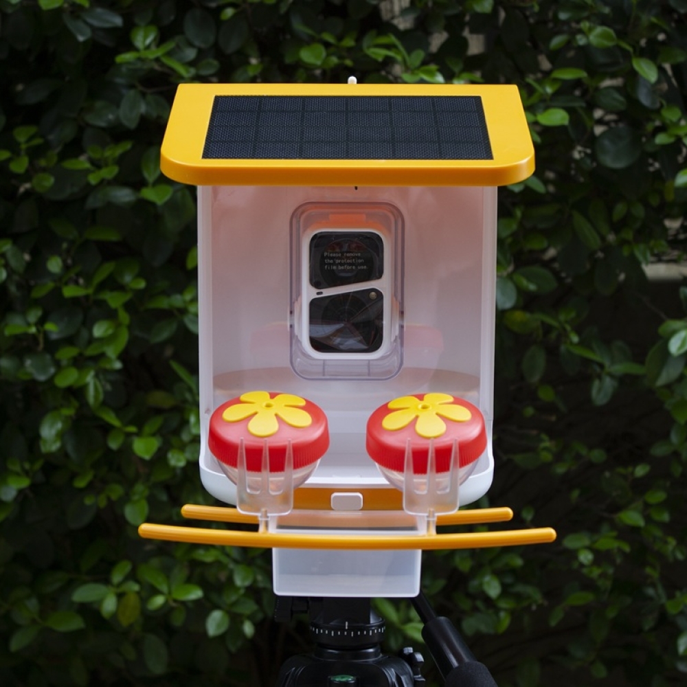 WiFi Smart Bird Feeder with Camera | Automatic Outdoor Bird Feeding Solution