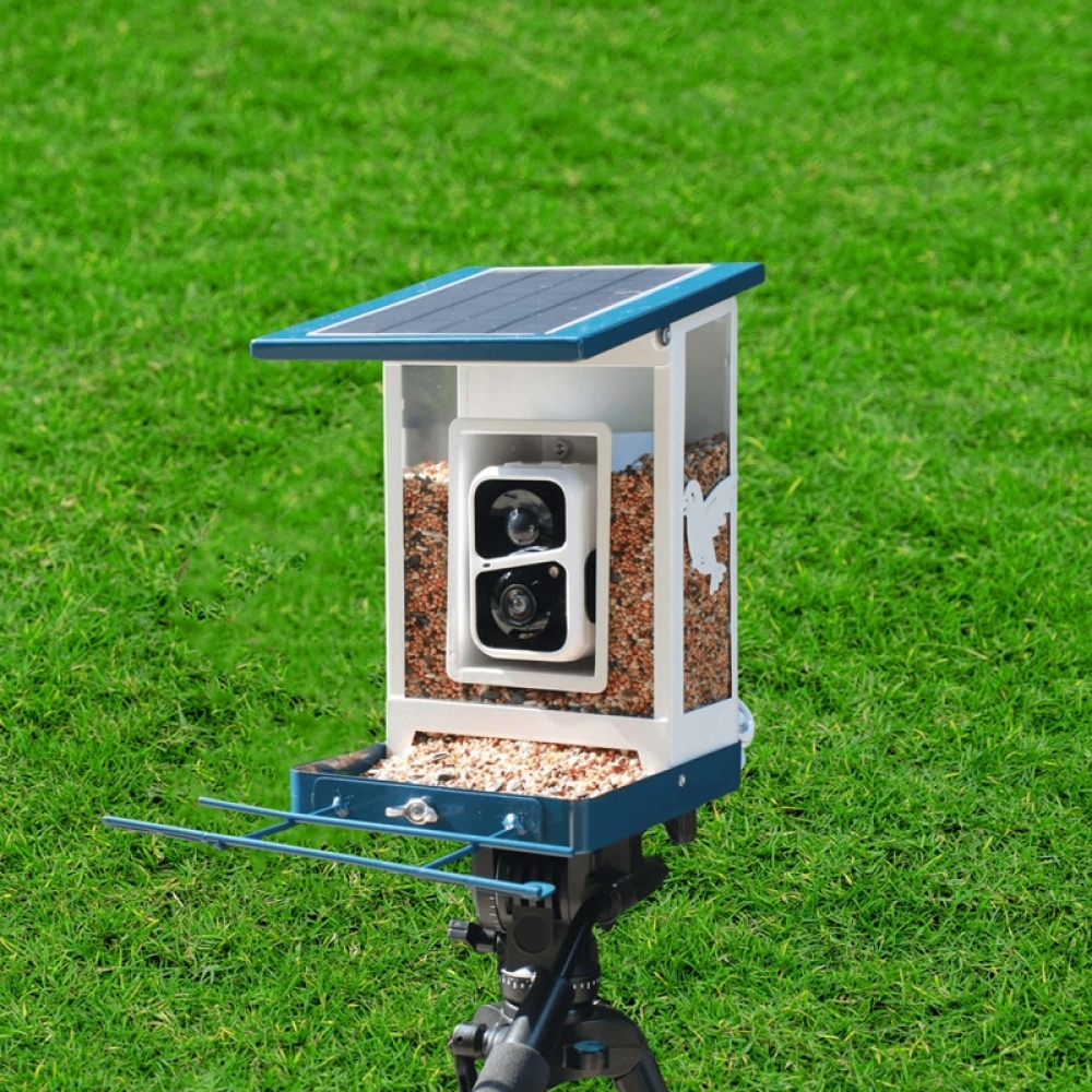 Smart Bird Feeder with Camera & App Control | Automatic Outdoor Feeding System