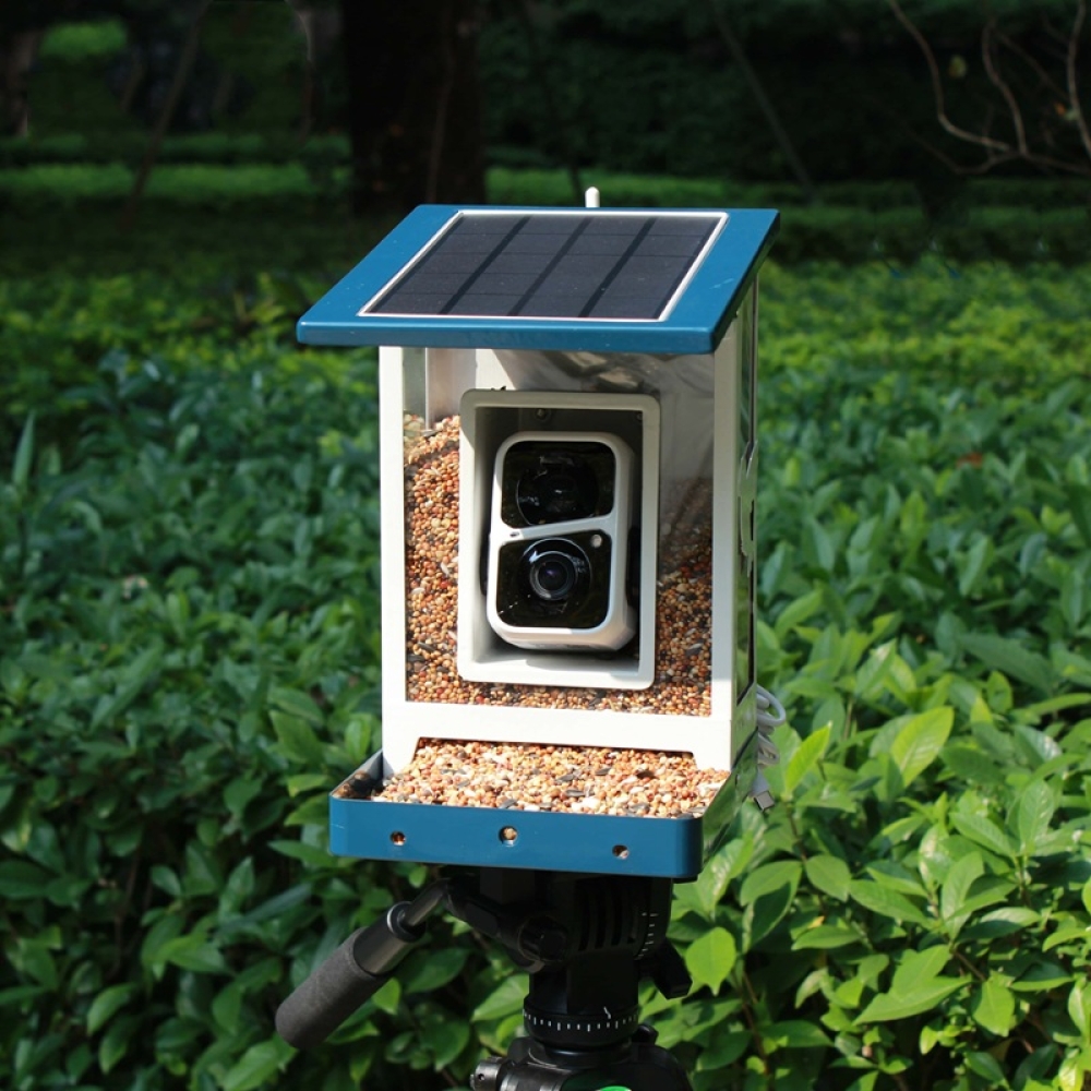 Smart Bird Feeder with Camera & App Control | Automatic Outdoor Feeding System