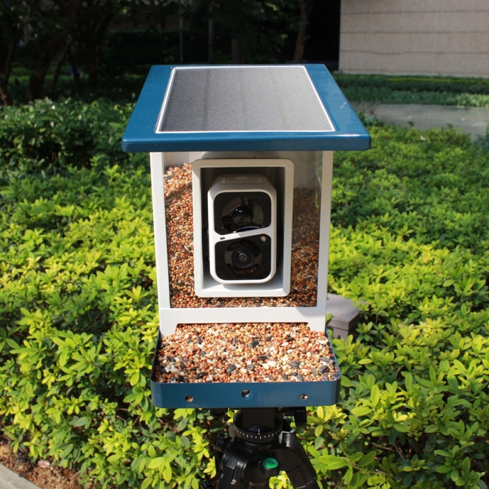 Smart Bird Feeder with Camera & App Control | Automatic Outdoor Feeding System