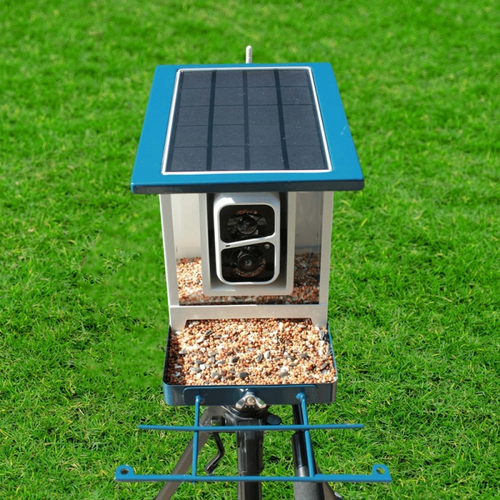 Smart Bird Feeder with Camera & App Control | Automatic Outdoor Feeding System