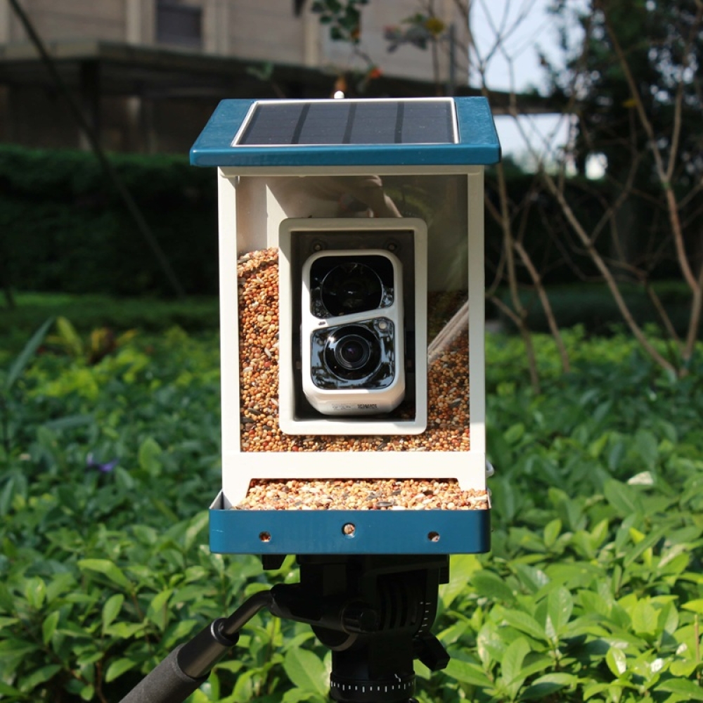 Smart Bird Feeder with Camera & App Control | Automatic Outdoor Feeding System