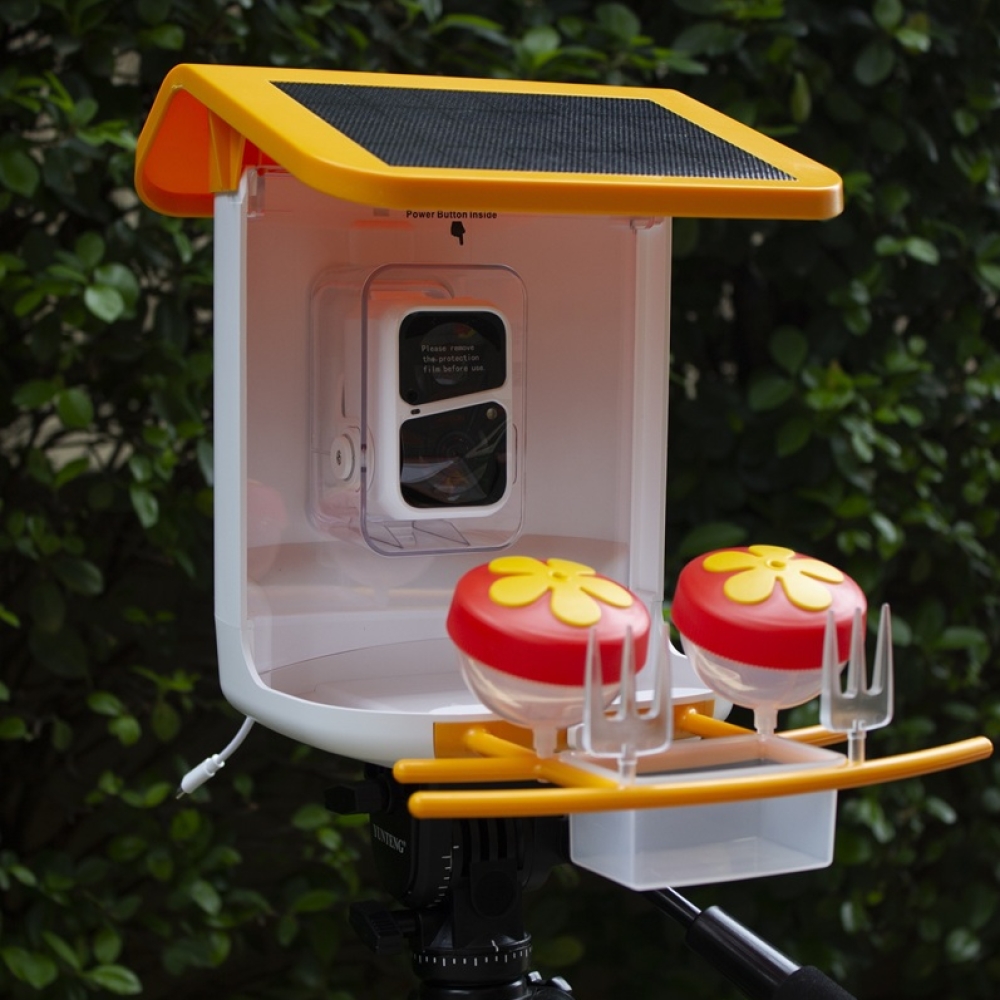 WiFi Smart Bird Feeder with Camera | Automatic Outdoor Bird Feeding Solution