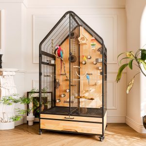 Handcrafted Metal and Wood Bird Cage for Indoor Use