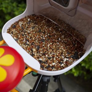 WiFi Smart Bird Feeder with Camera | Automatic Outdoor Bird Feeding Solution