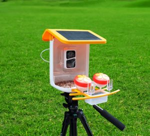 WiFi Smart Bird Feeder with Camera | Automatic Outdoor Bird Feeding Solution