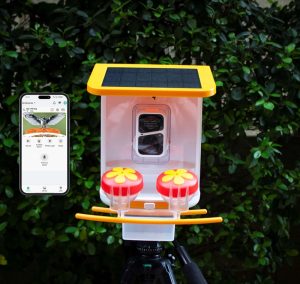 WiFi Smart Bird Feeder with Camera | Automatic Outdoor Bird Feeding Solution