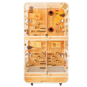 Luxury Metal & Wood Bird Cage for Parrots and Indoor Homes