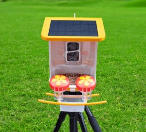 WiFi Smart Bird Feeder with Camera | Automatic Outdoor Bird Feeding Solution