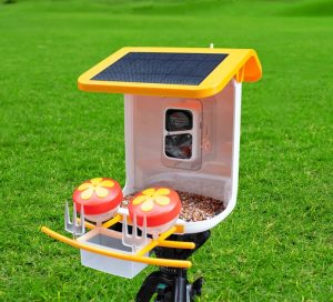 WiFi Smart Bird Feeder with Camera | Automatic Outdoor Bird Feeding Solution